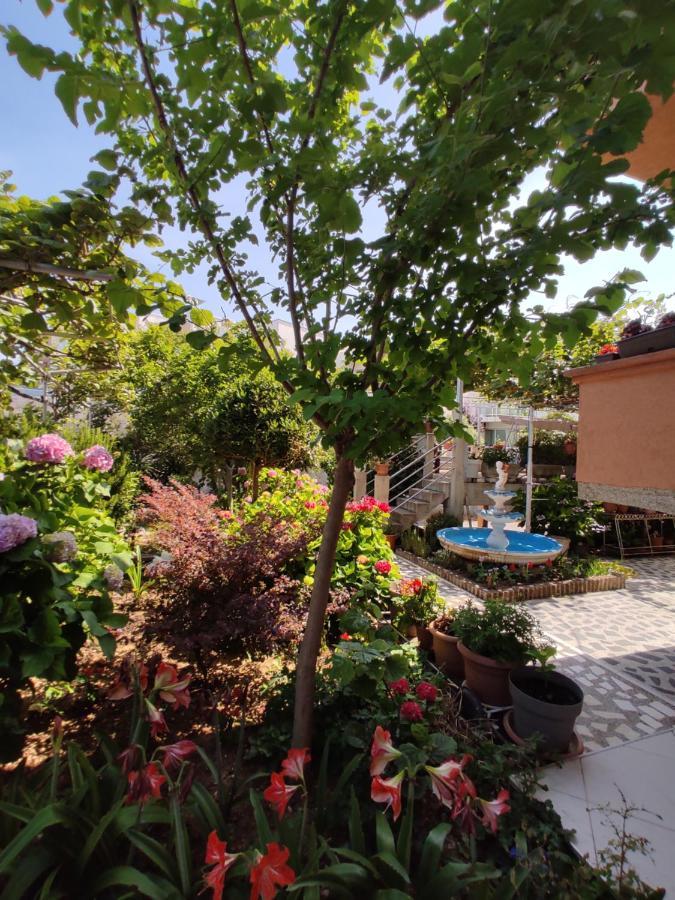 Apartments Baja Ulcinj Zewnętrze zdjęcie